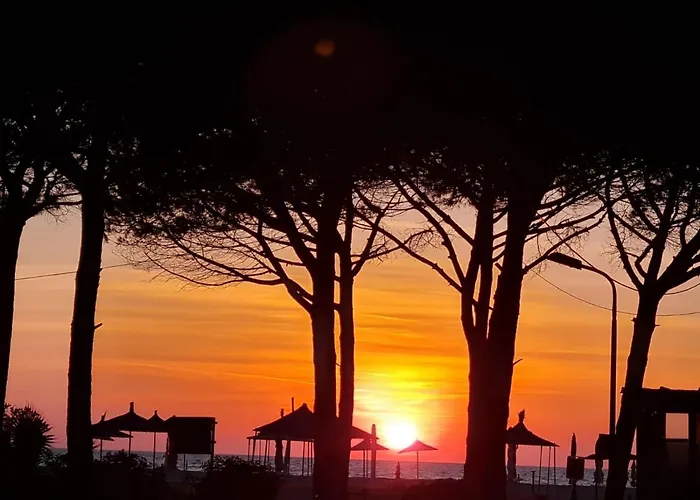 アパートホテル La Pineta